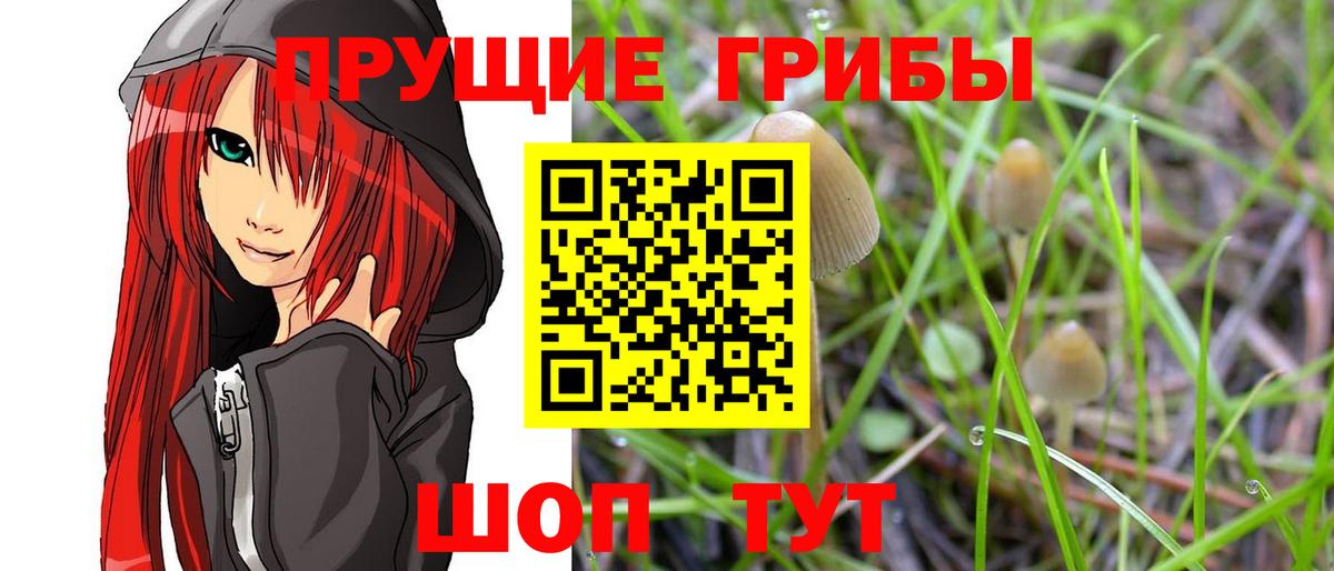 Галлюциногенные грибы мицелий  Вход с VPN  Нальчик 