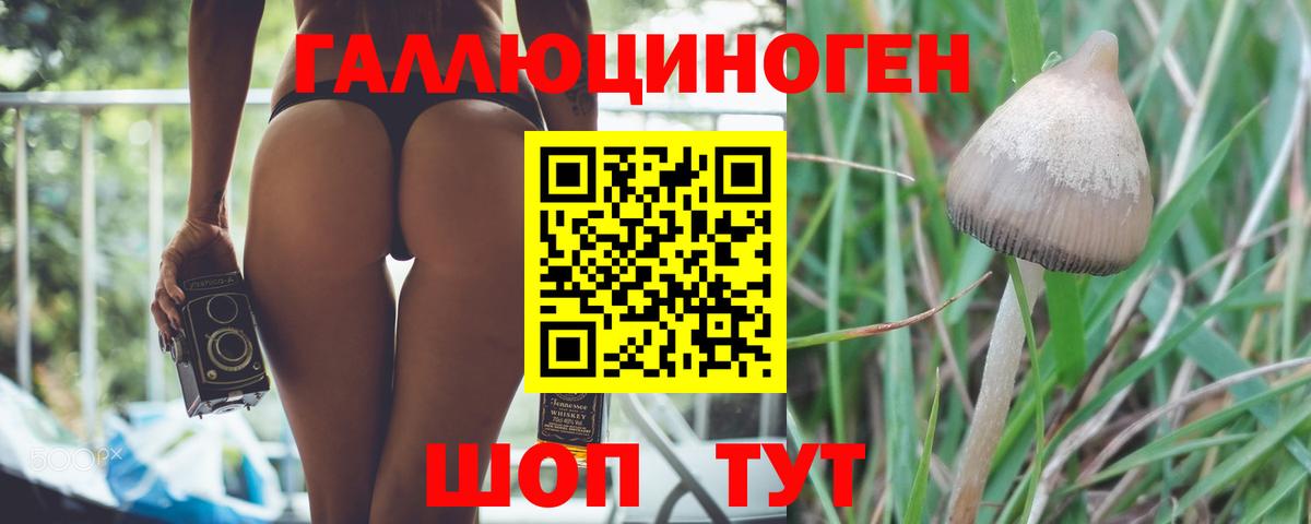 Галлюциногенные грибы прущие грибы Нальчик